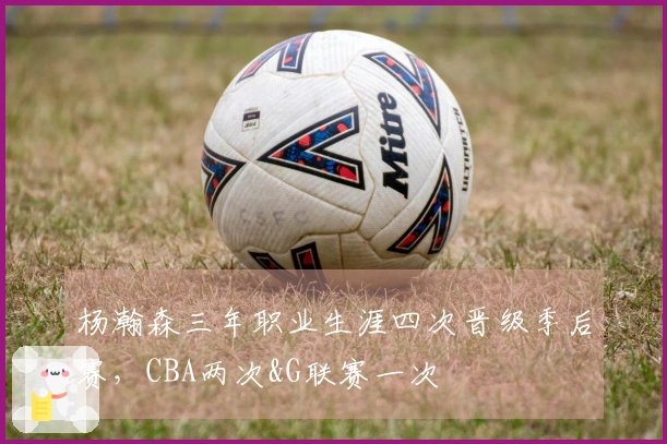 杨瀚森三年职业生涯四次晋级季后赛，CBA两次&G联赛一次