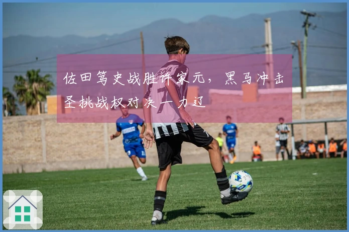 佐田笃史战胜许家元，黑马冲击碁圣挑战权对决一力辽